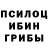 Псилоцибиновые грибы мицелий Tatyana Tarletskaa
