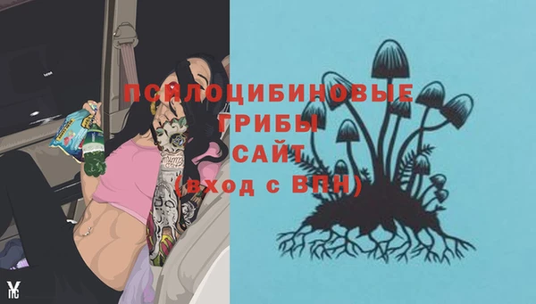 прущая мука Белокуриха