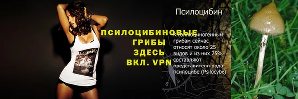 прущая мука Белокуриха